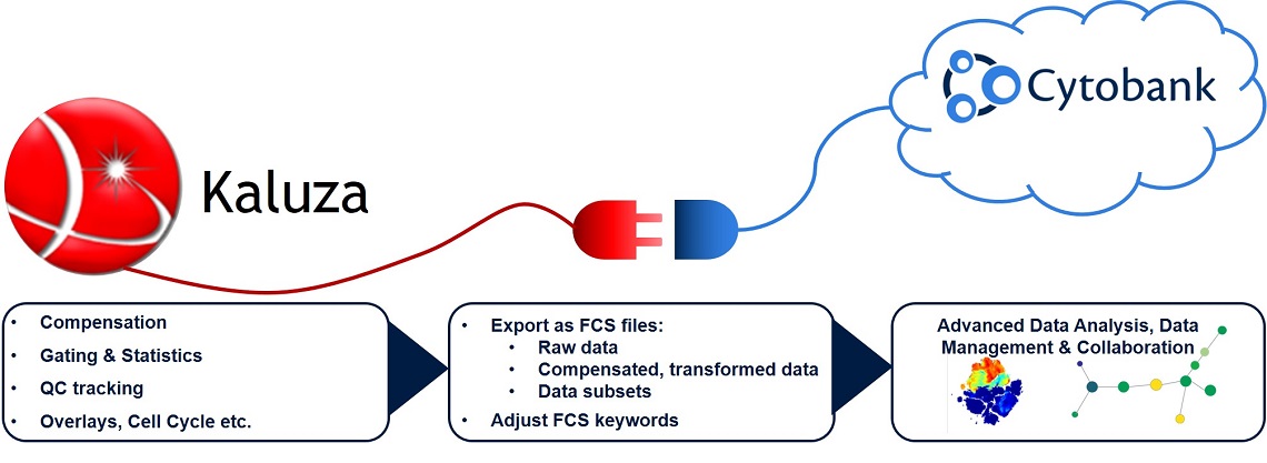 Graphical overview of workflow possible using the Kaluza Cytobank Plugin