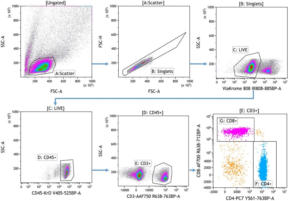 Hierarchical gating used to identify populations to be compared in overlay plots