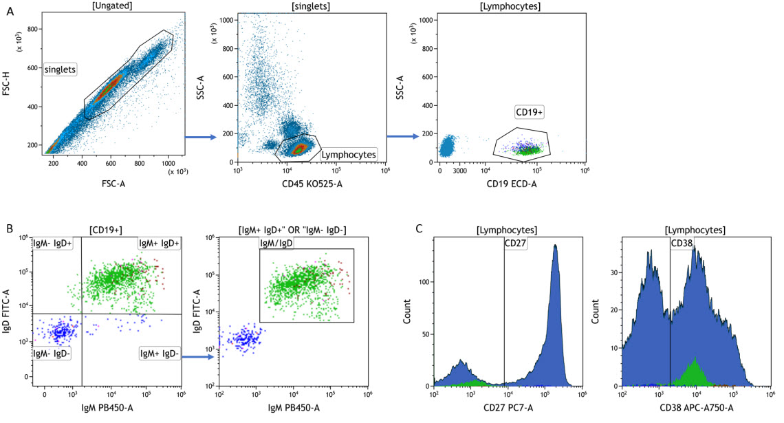 Step 1 of creating a Tree Plot in Kaluza Analysis Software