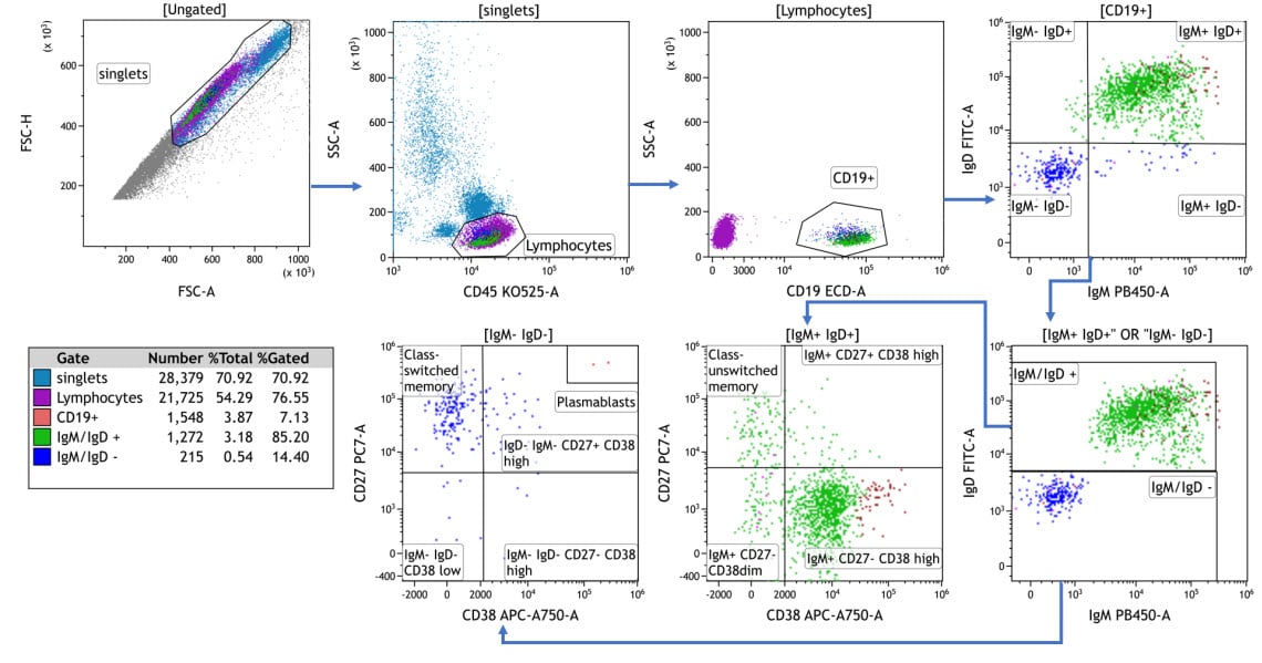 flow cytometry diagram