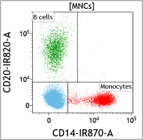 Infrared Fluorescent Dyes