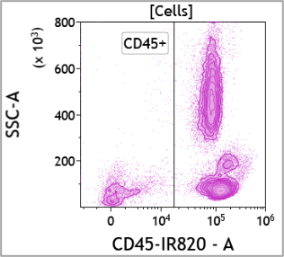 Infrared Fluorescent Dyes