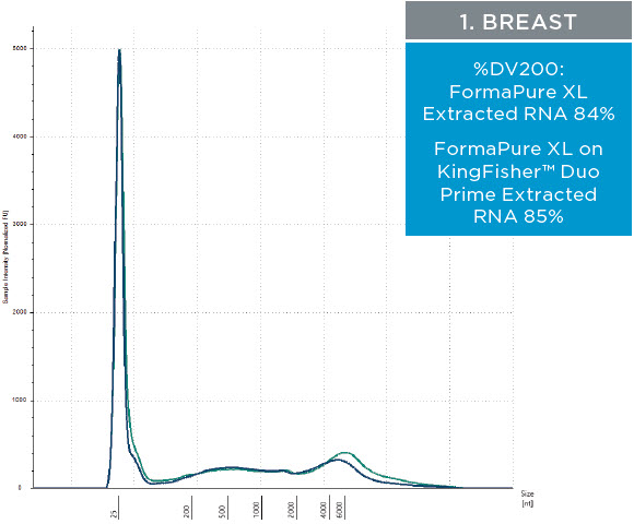 1. Breast - Figure 2. Representative electropherograms of RNA isolated using FormaPure XL Total manually (green traces) and using the KingFisher™ Duo Prime (blue traces) from breast, intestine and lung FFPE samples are shown. 