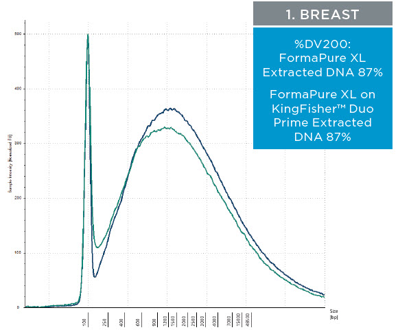 1. Breast - Figure 3. Representative electropherograms of DNA isolated using FormaPure XL Total manually (green traces) and using the KingFisher™ Duo Prime (blue traces) from breast, intestine and lung FFPE samples are shown.