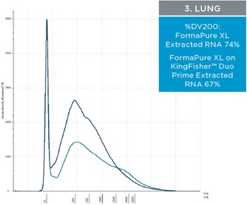 3. Lung - Figure 2. Representative electropherograms of RNA isolated using FormaPure XL Total manually (green traces) and using the KingFisher™ Duo Prime (blue traces) from breast, intestine and lung FFPE samples are shown.