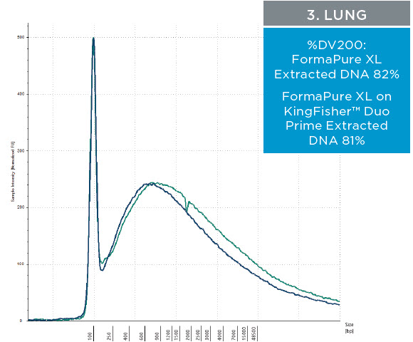 3. Lung - Figure 3. Representative electropherograms of DNA isolated using FormaPure XL Total manually (green traces) and using the KingFisher™ Duo Prime (blue traces) from breast, intestine and lung FFPE samples are shown.