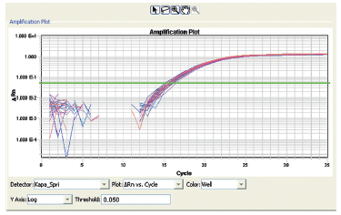 Figure 6. Real-Time PCR amplification (20 μL/reaction): using ABI 7900HT Fast Real-Time PCR System. The above data contains the β-actin real-time PCR reaction results from 32 samples (average Ct = 15.72 with 1.74% CV). Each β-actin qPCR reaction amplified 8 ng human genomic DNA (Promega), β-actin primer pairs (Promega), and KAPA SYBR FAST qPCR Master Mix (KAPABIOSYSTEMS).