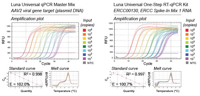 High-Throughput QPCR And RT-qPCR Workflows