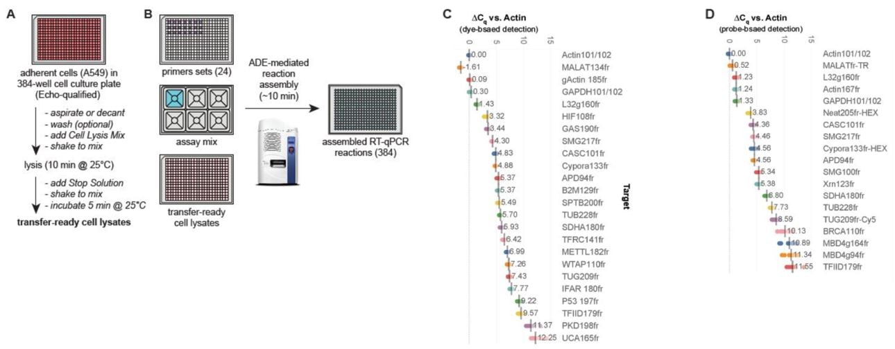 High-Throughput qPCR and RT-qPCR Workflows Figure 4