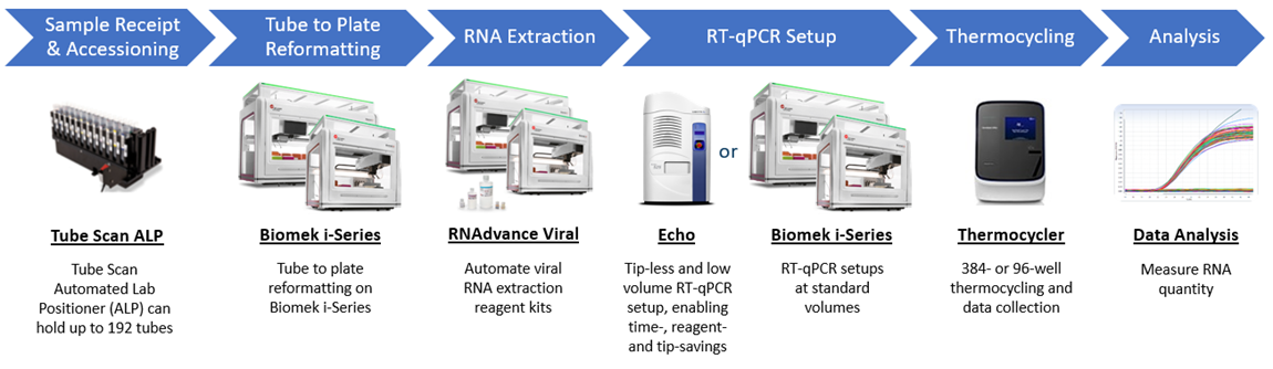 全自动病毒 RNA 提取和检测工作步骤 