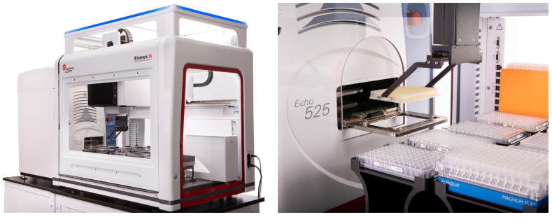 Automated Viral RNA Extraction Workflow Integrated Biomek and Echo Liquid Handlers