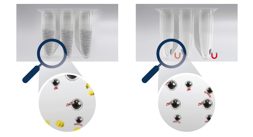 Genomics EMnetik Workflow Mixing Figure 2