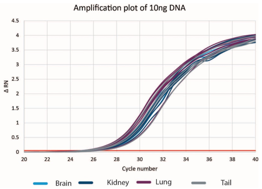 Genomics DNAdvance Tissue Amplify DNA