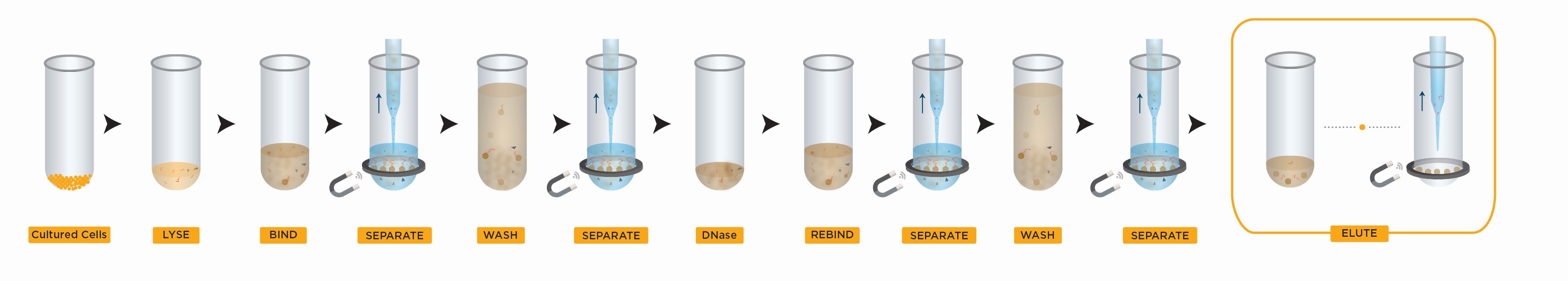 Genomics RNAdvance Cell v2 Workflow