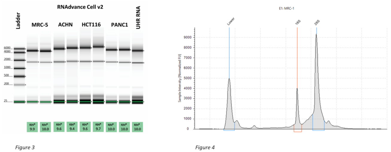 Genomics RNAdvance Cells RIN Scores