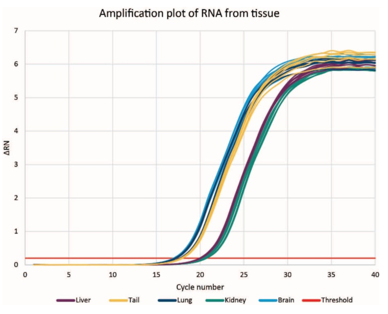 Genomics RNAdvance Tissue RIN Score Figure 6