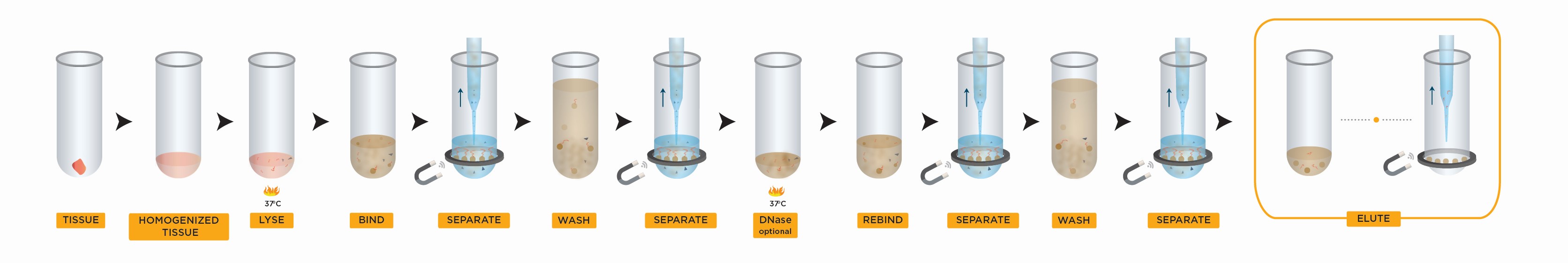 Genomics RNAdvance Tissue Workflow