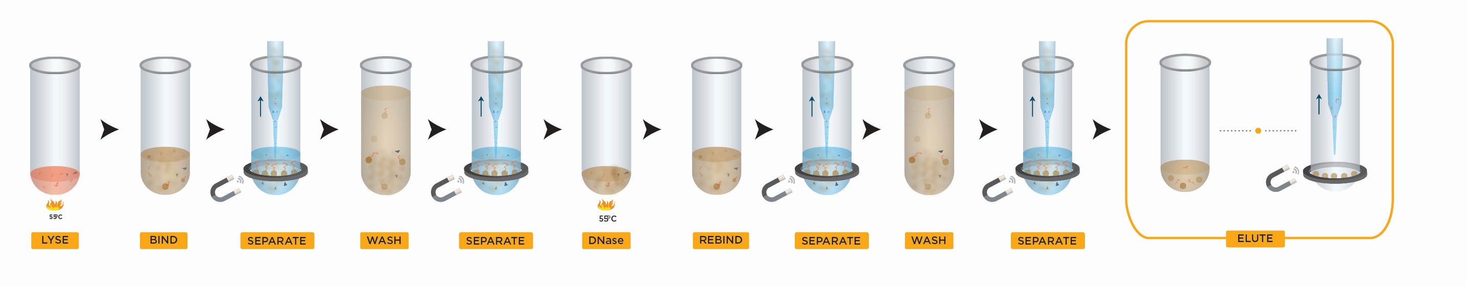 Genomics RNAdvance Blood Workflow