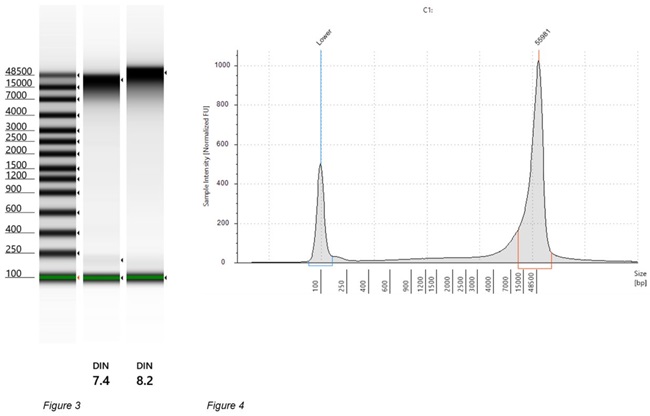 Genomics PoP DNA Isolation from Mouthwash and Saliva Figure 3 and 4