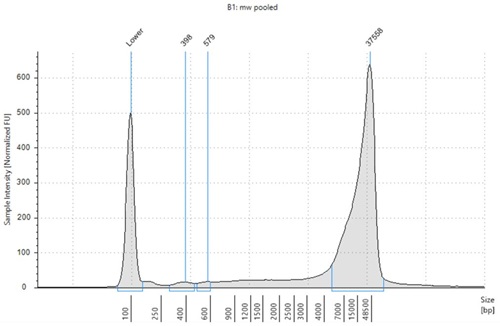 Genomics PoP DNA Isolation from Mouthwash and Saliva Figure 7