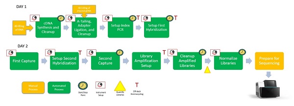 Figure 3: Automated TruSight® Tumor 170 workflow on the Biomek i5 Span-8 NGS Workstation 