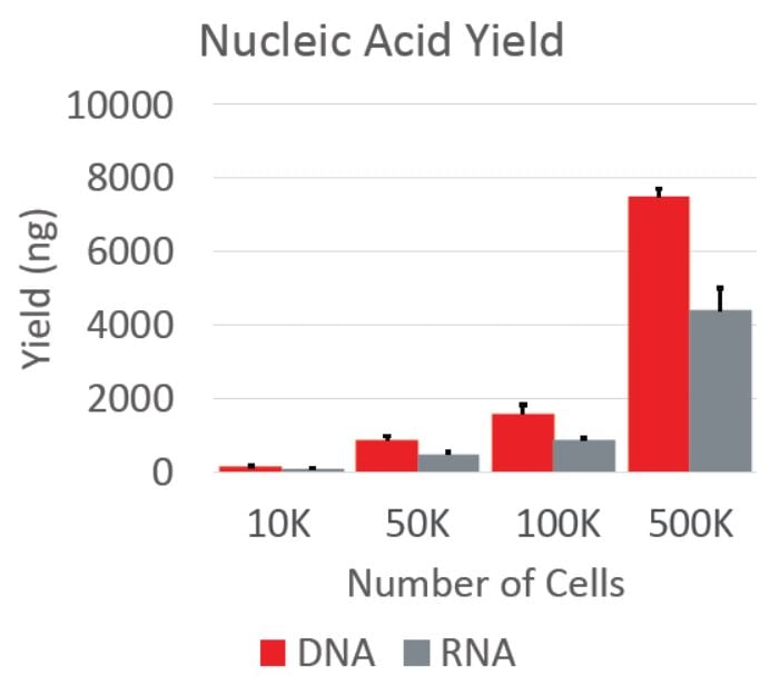 Genomics Poster Cell Culture Sample