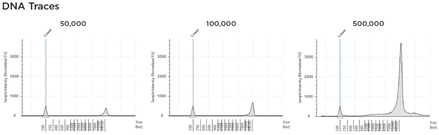 Genomics Poster DNA Traces Cell Culture Sample