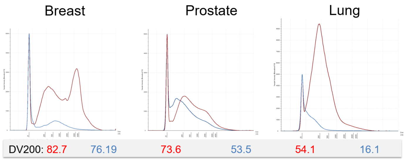 Genomics Poster Quality RNA Figure 3