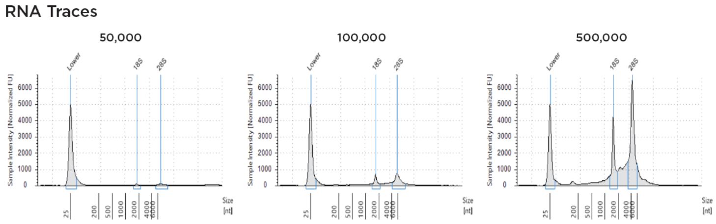 Genomics Poster RNA Traces Cell Culture Sample