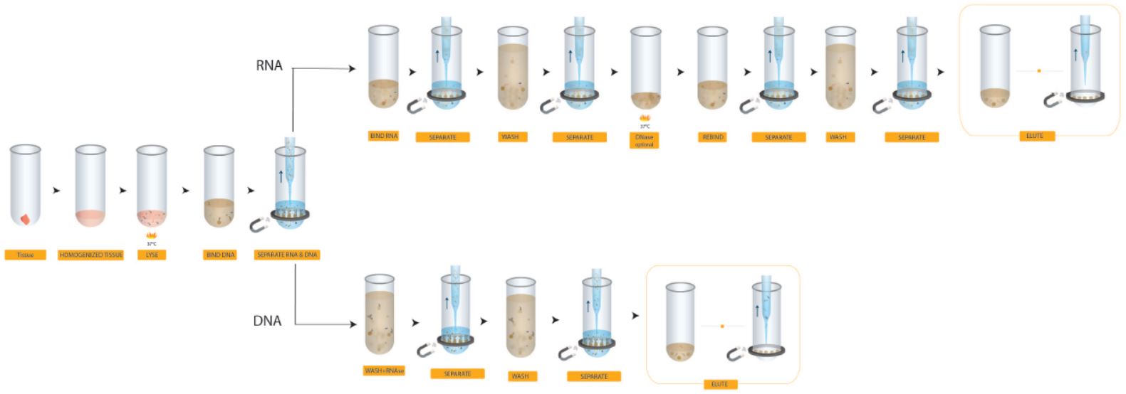 Genomics Poster Workflow for Variety of Sample Types