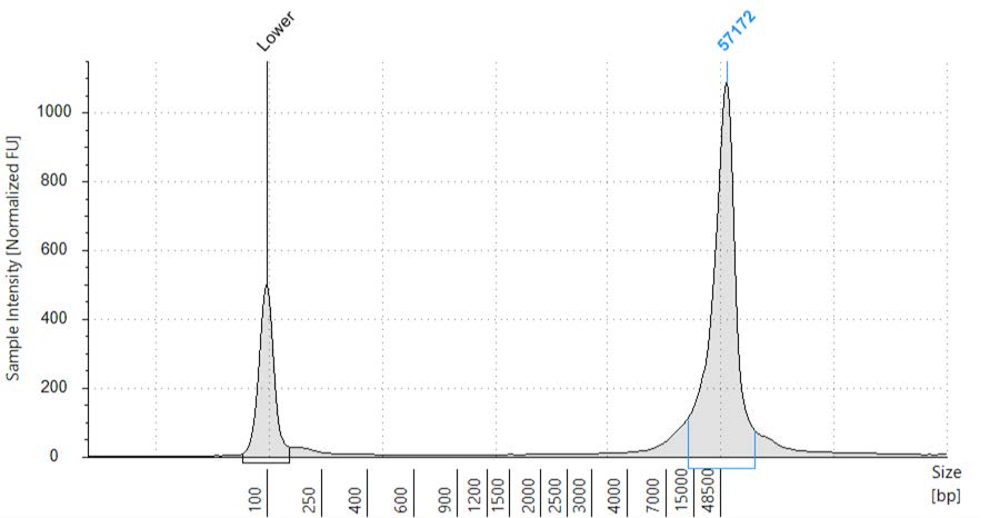 Figure 2 C