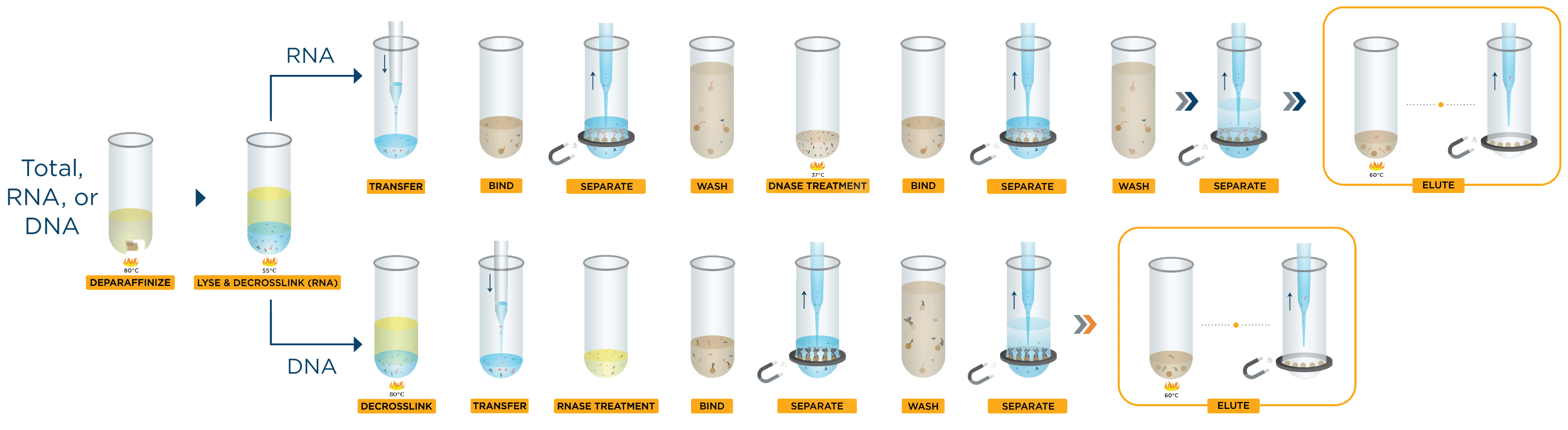 Genomics Products Sequencing RNA and DNA Tubes graphic