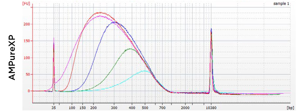 AMPure XP performance chart