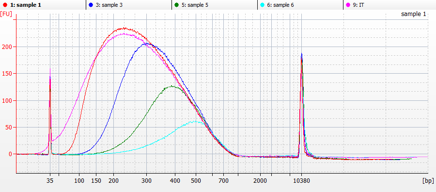 Agilent TapeStation traces of sheared gDNA purified using the AMPure XP beads from Beckman Coulter Life Sciences