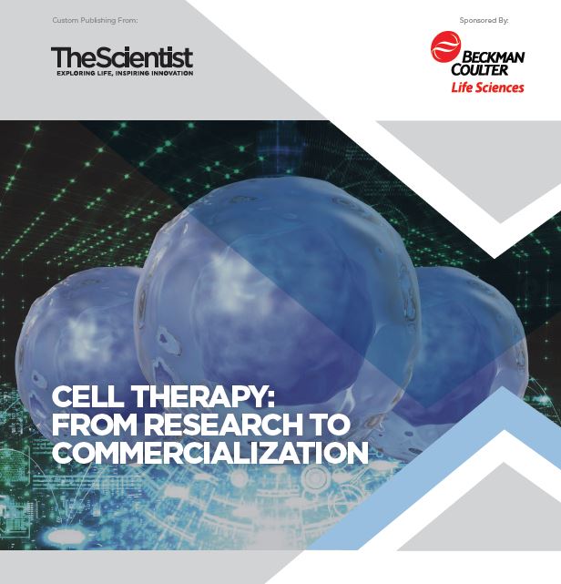 Cell therapy from research to commercialization