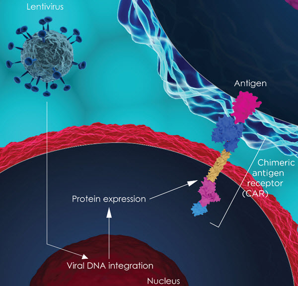 CAR-T cell therapy antigen graphic