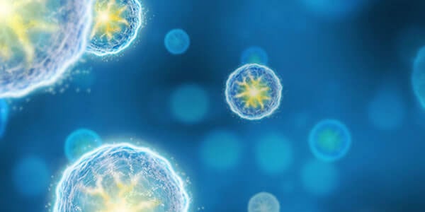Microscopic cellular or nanoparticle structure 