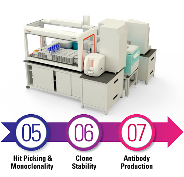 Integrated Solution for Post-Fusion in Antibody Engineering 