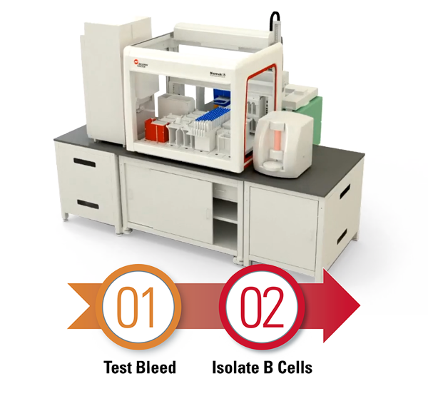 Integrated Solution for Pre-Fusion in Antibody Engineering 