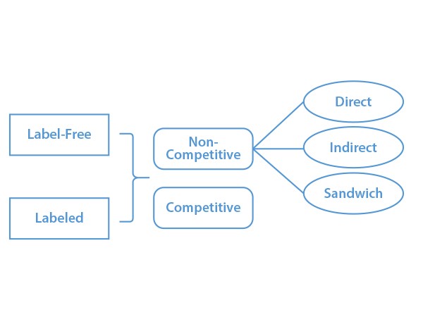 ELISA Overview