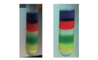 graph 5 - Carbon Nanotube