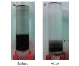 graphic6 - Carbon Nanotube