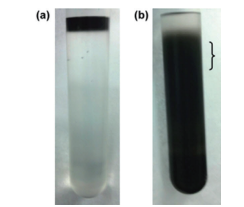 graphic7 - Carbon Nanotube