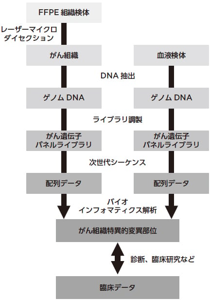 がん遺伝子パネル解析／クリニカルシーケンスにおけるFFPE組織切片からのゲノムDNA抽出の重要性