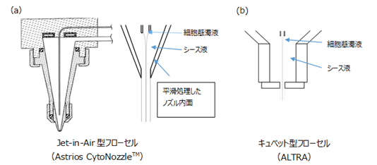 Diagram 2 - Retinal Cell Regeneration