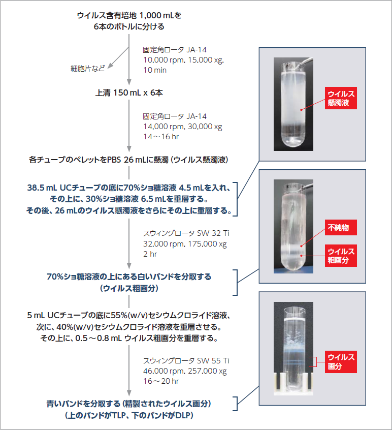 Diagram 2- Virus Purification Fundamentals