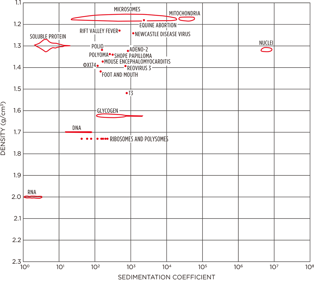 Graph- Nguyên tắc cơ bản về thanh lọc virus