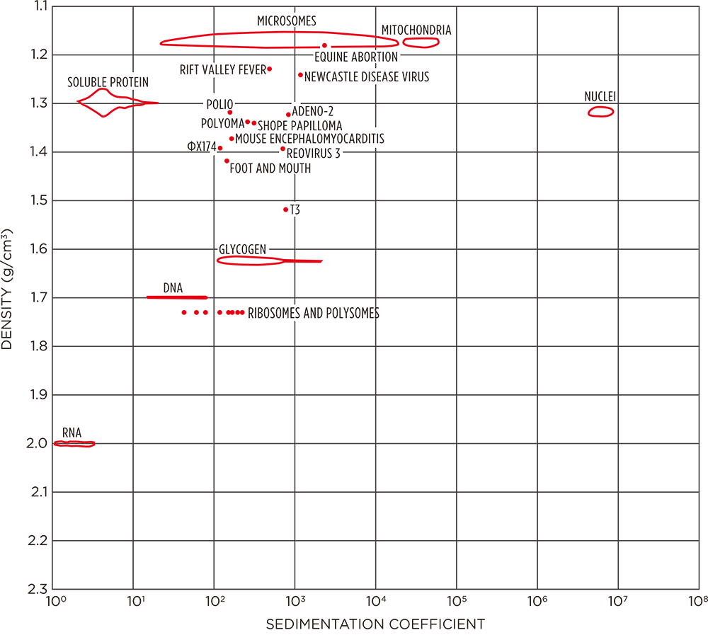 Graph- Virus Purification Fundamentals