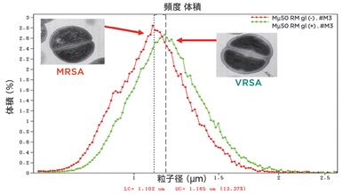 薬剤耐性黄色ブドウ球菌MRSAとVRSAのサイズ分布