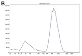 緑藻綱コナミドリムシの同調培養における細胞の二つの サブポピュレーション。Multisizer による定量分析